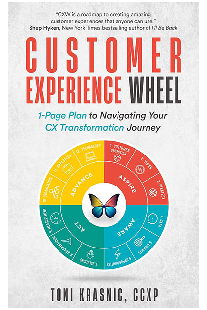 Customer Experience Wheel